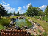 Gartenansicht (3)