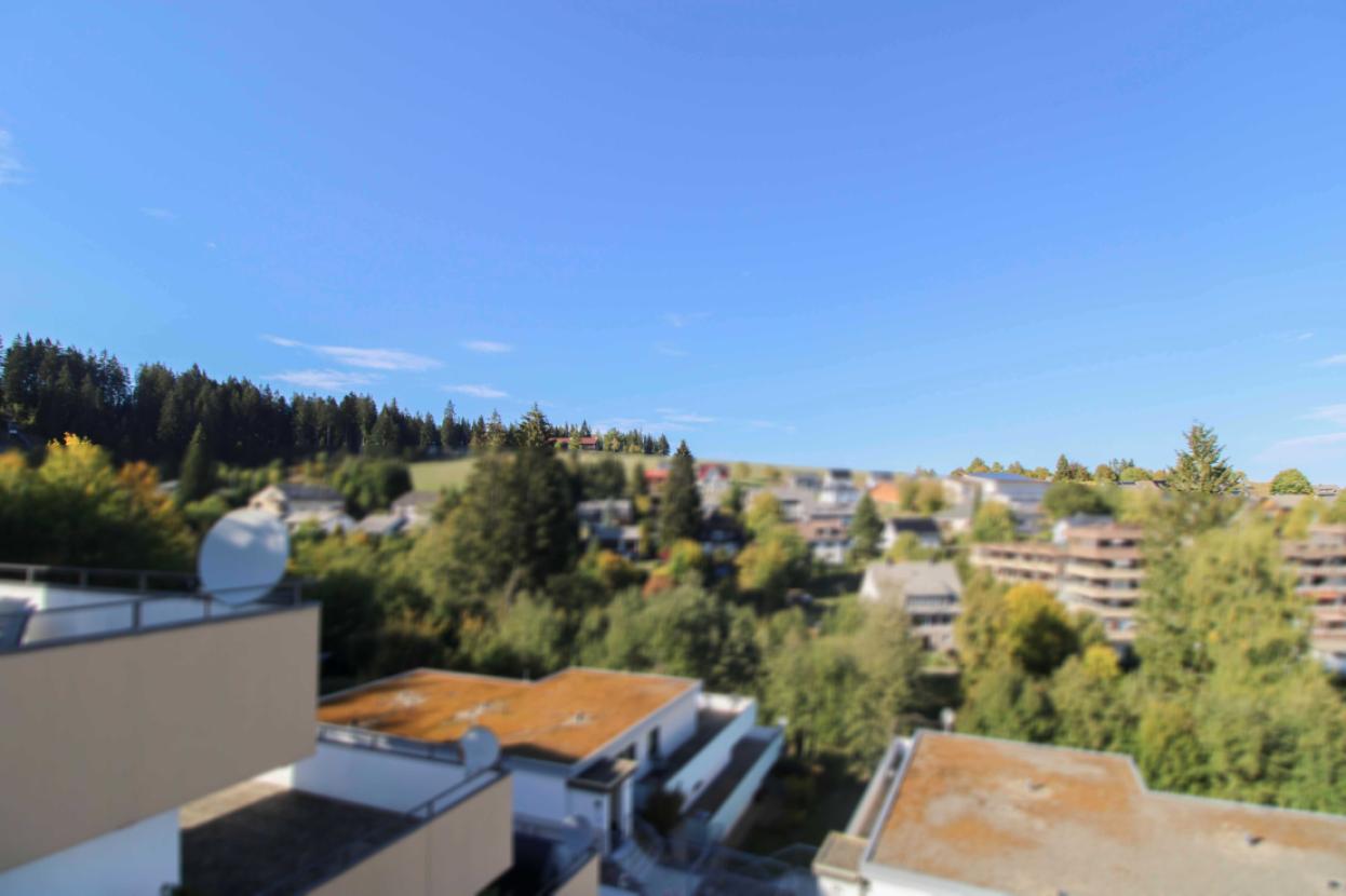 Ausblick von Terrasse Bild 1