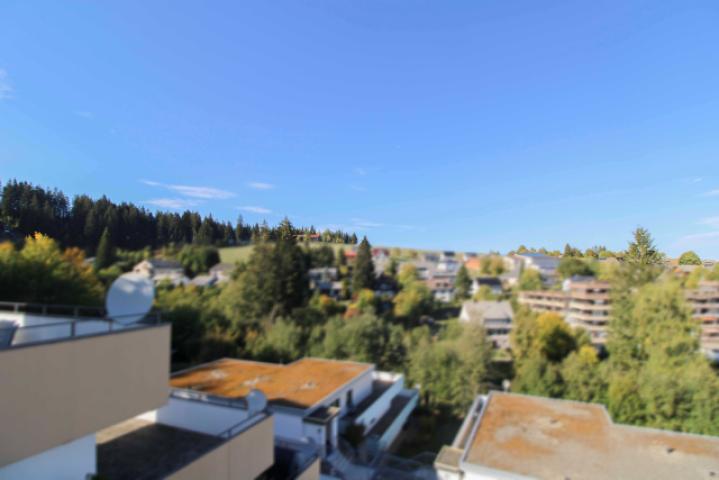 Ausblick von Terrasse Bild 1