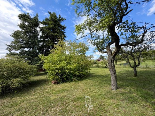 Garten hinten