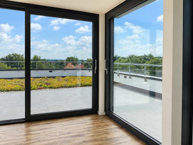 Blick auf die begrünte Dachterasse