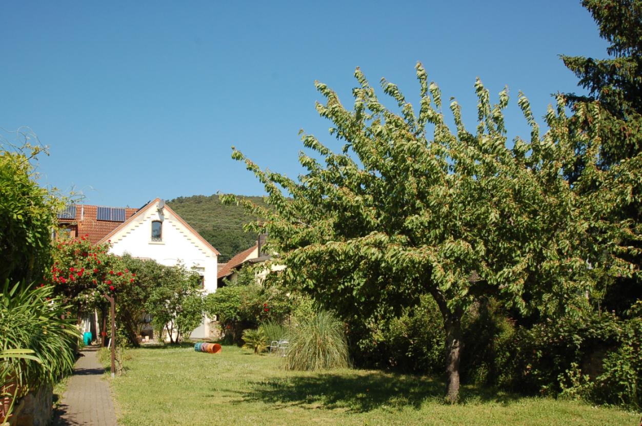 Gartenanlage