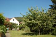 Gartenanlage