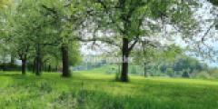 Impressionen Spazierweg