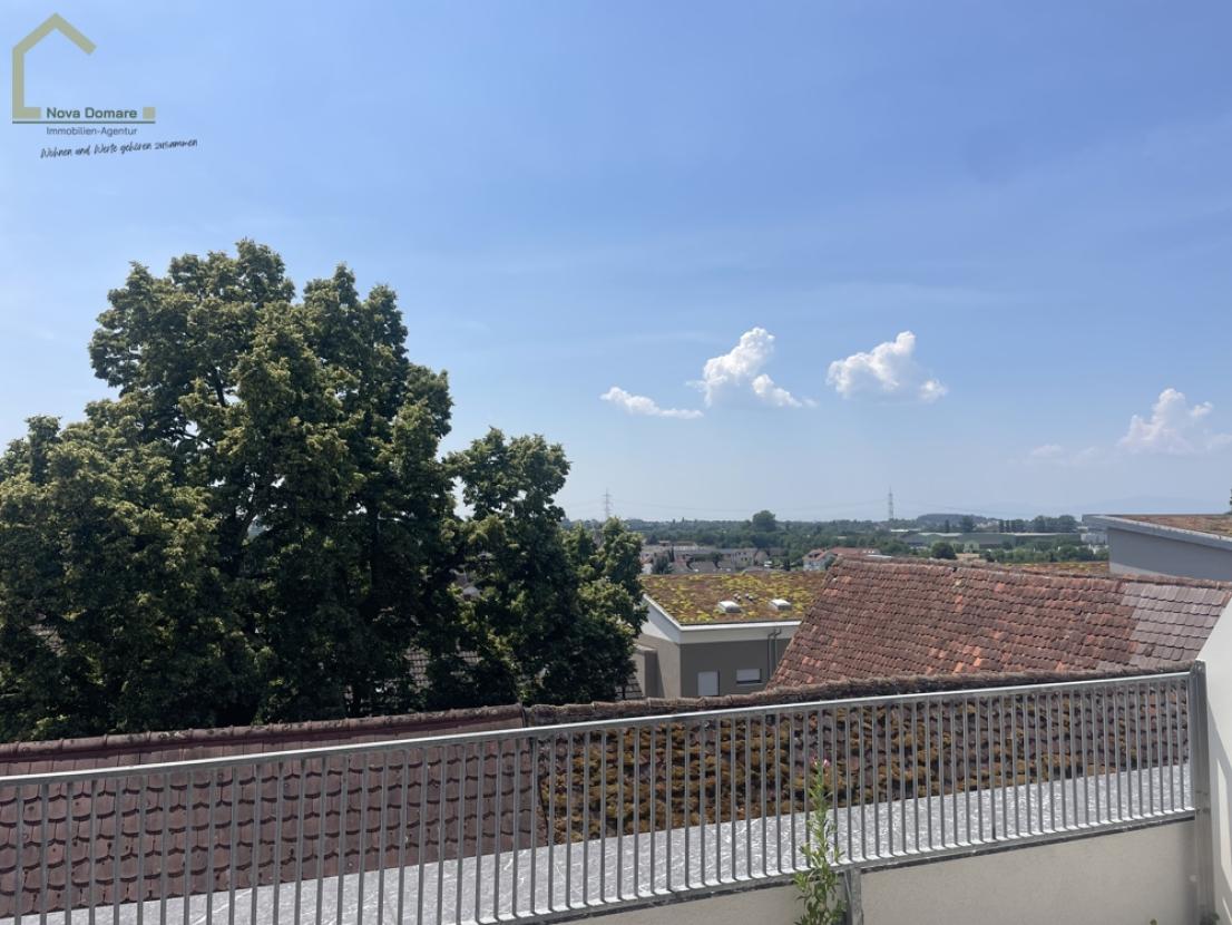 Ausblick