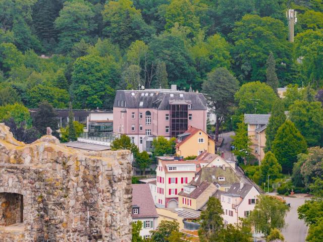 Blick von der Burg Baden