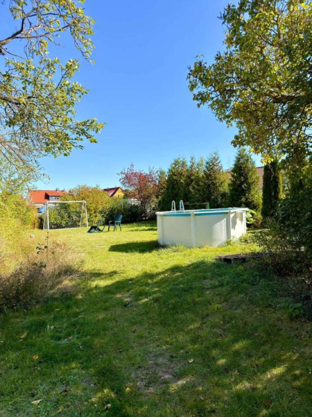 Blick in den Garten