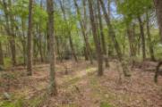 Eigener Lärchenwald