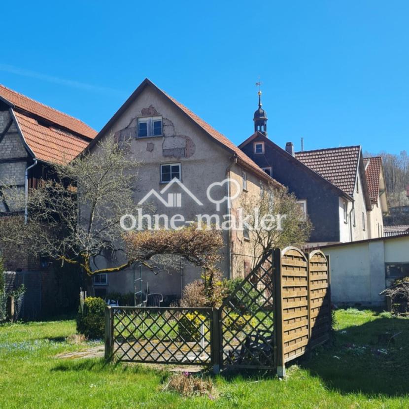 Garten, Blick zurück aufs Haus