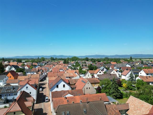 Über den Dächern