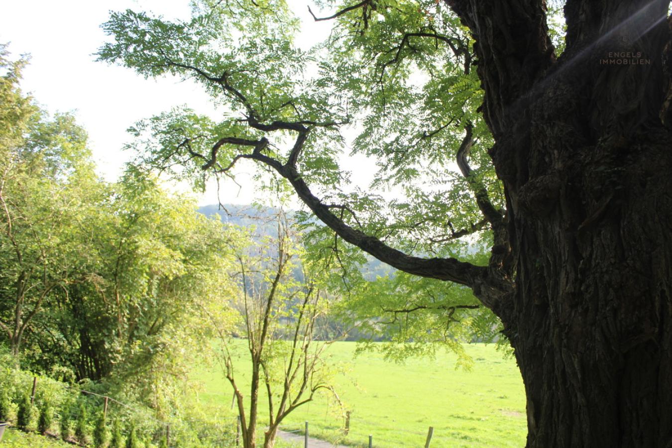 Natur pur