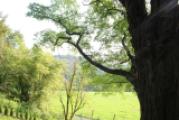 Natur pur