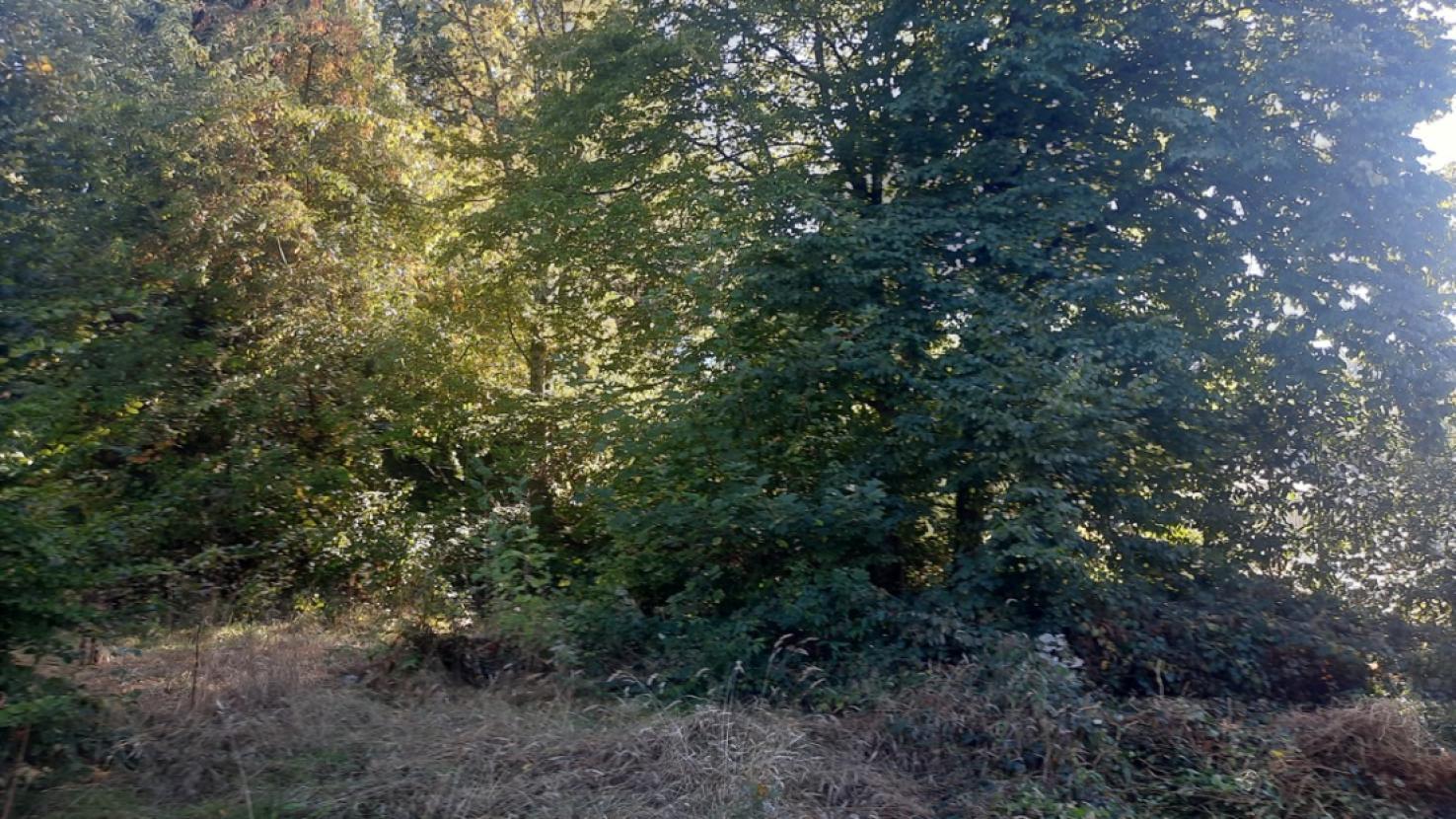 Baugrundstück