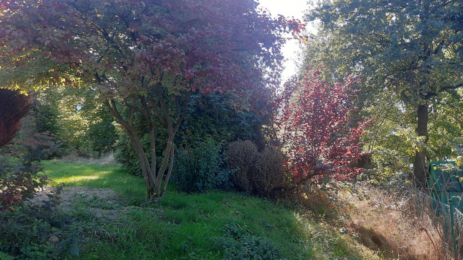 Baugrundstück