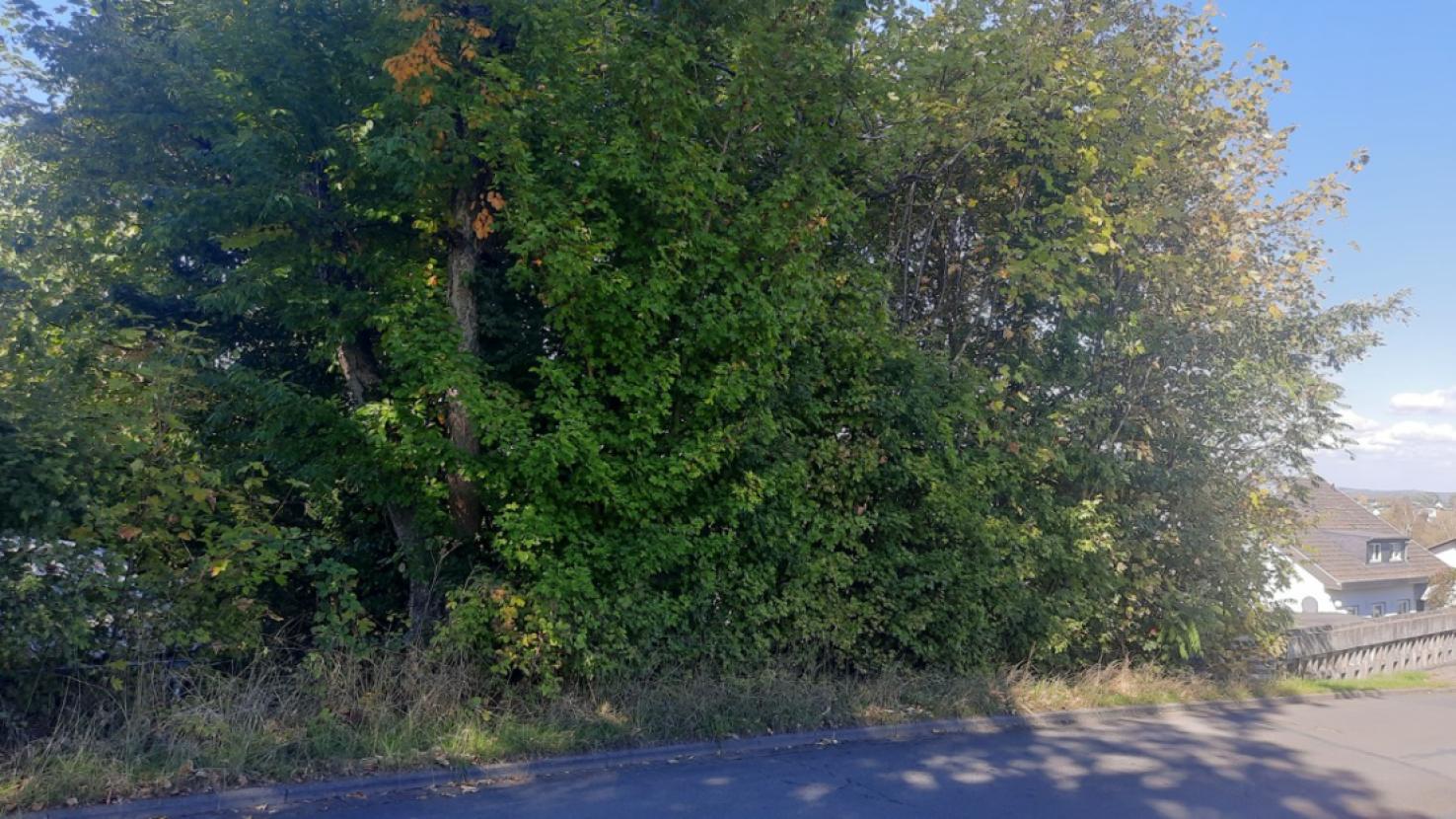 Straßenansicht 3