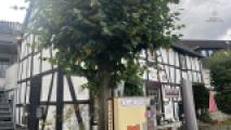 Ein Landgasthof wie aus dem Bilderbuch
