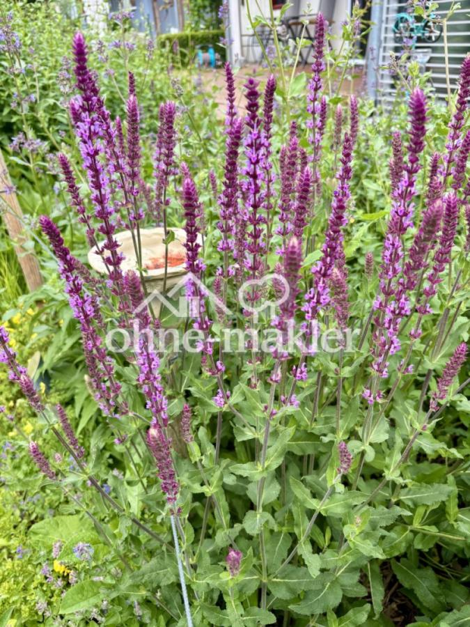 Gartenbilder