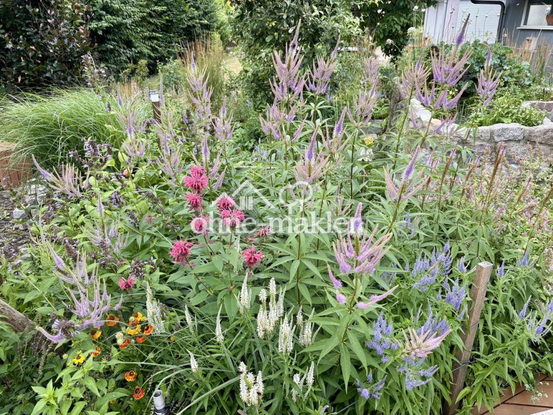 Gartenbilder