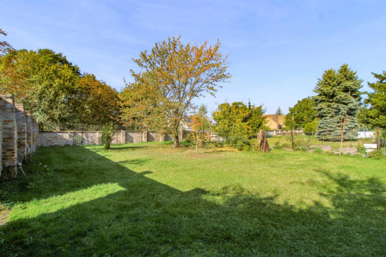 Garten(2)