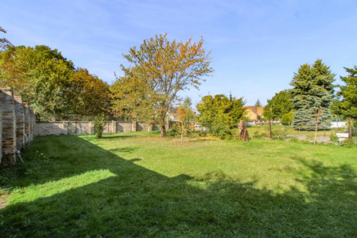 Garten(2)