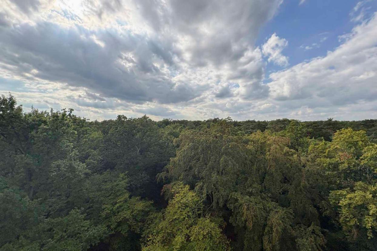 Ausblick über Hakenfelde