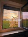 Westblick