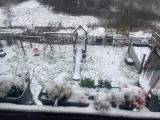 Balkon / Garten