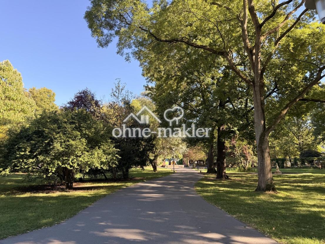 Stadtpark · Allee · Umgebung