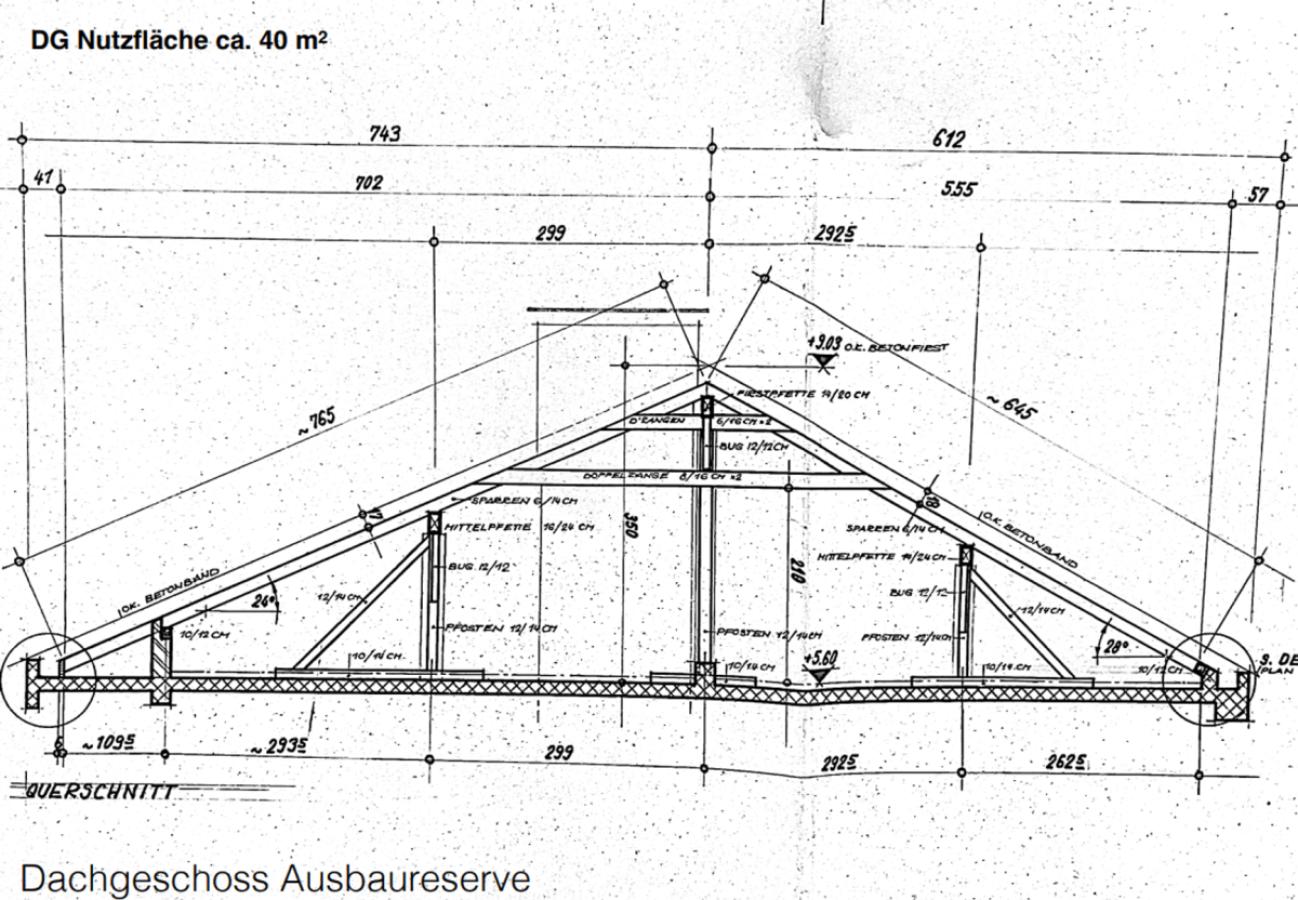 Grundriss DG