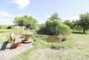 Gartenteich