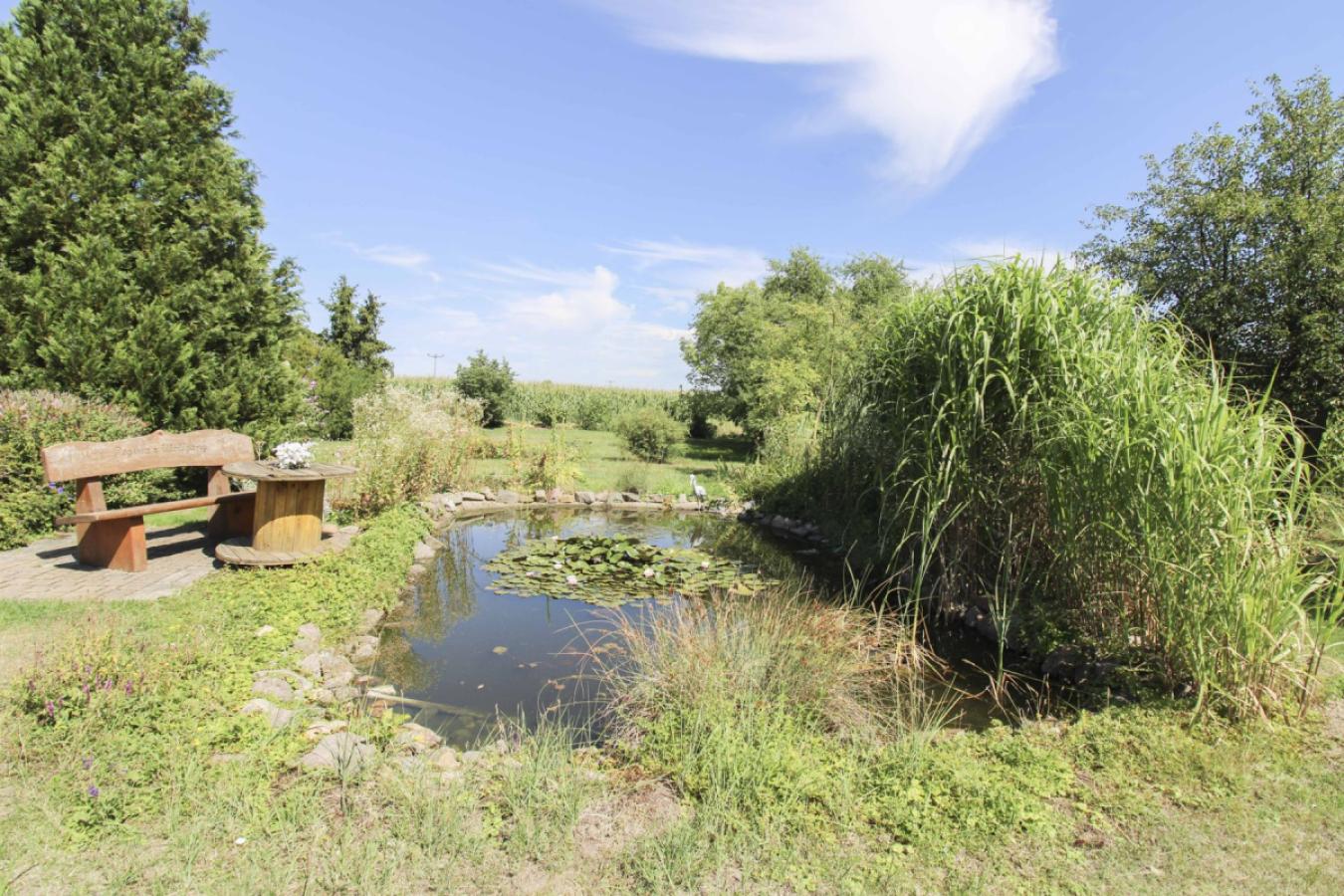 Gartenteich2