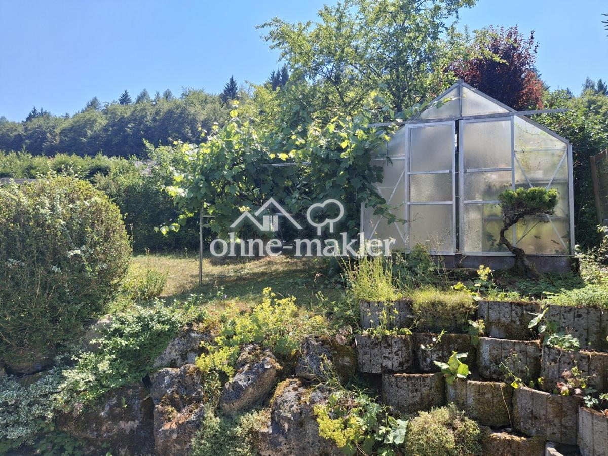 Garten mit Gewächshaus