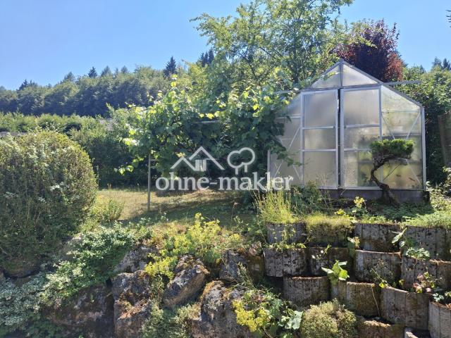 Garten mit Gewächshaus