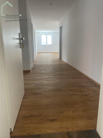 Wohnung 01