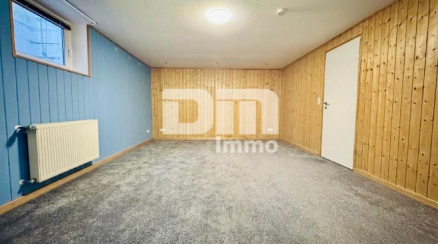 Souterrain Hobbykeller beheizt