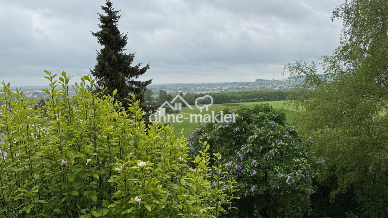 Ausblick 1