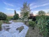 Blick in den Garten
