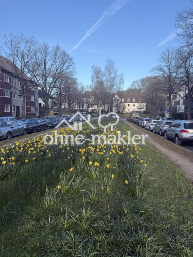 Esmarchstrasse Blumen 🌷