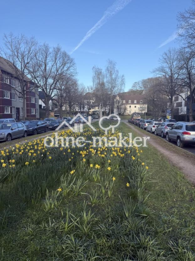 Esmarchstrasse Blumen 🌷