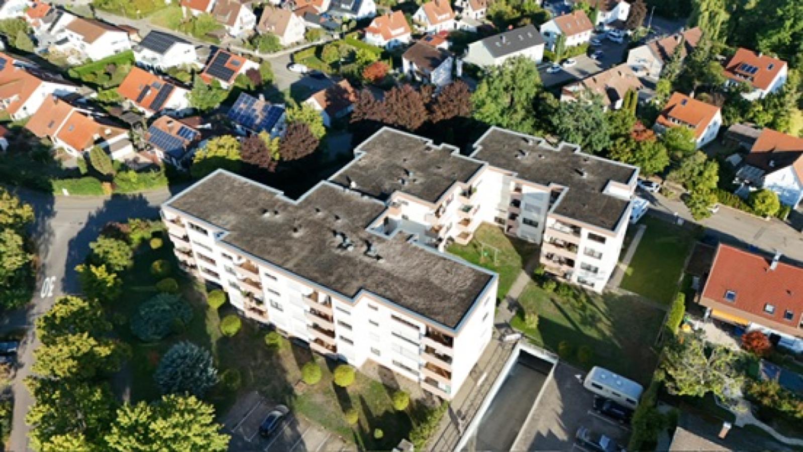 Perspektive 