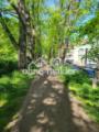 Wallrundweg 1 Frühling