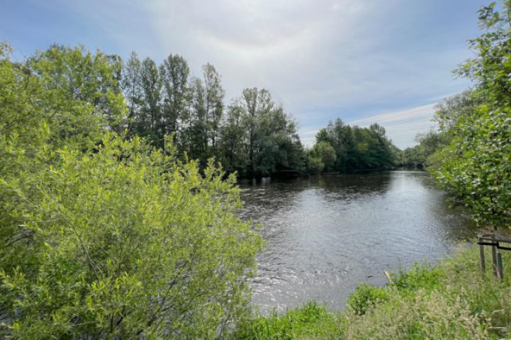Flusslauf gegenüber vom Haus