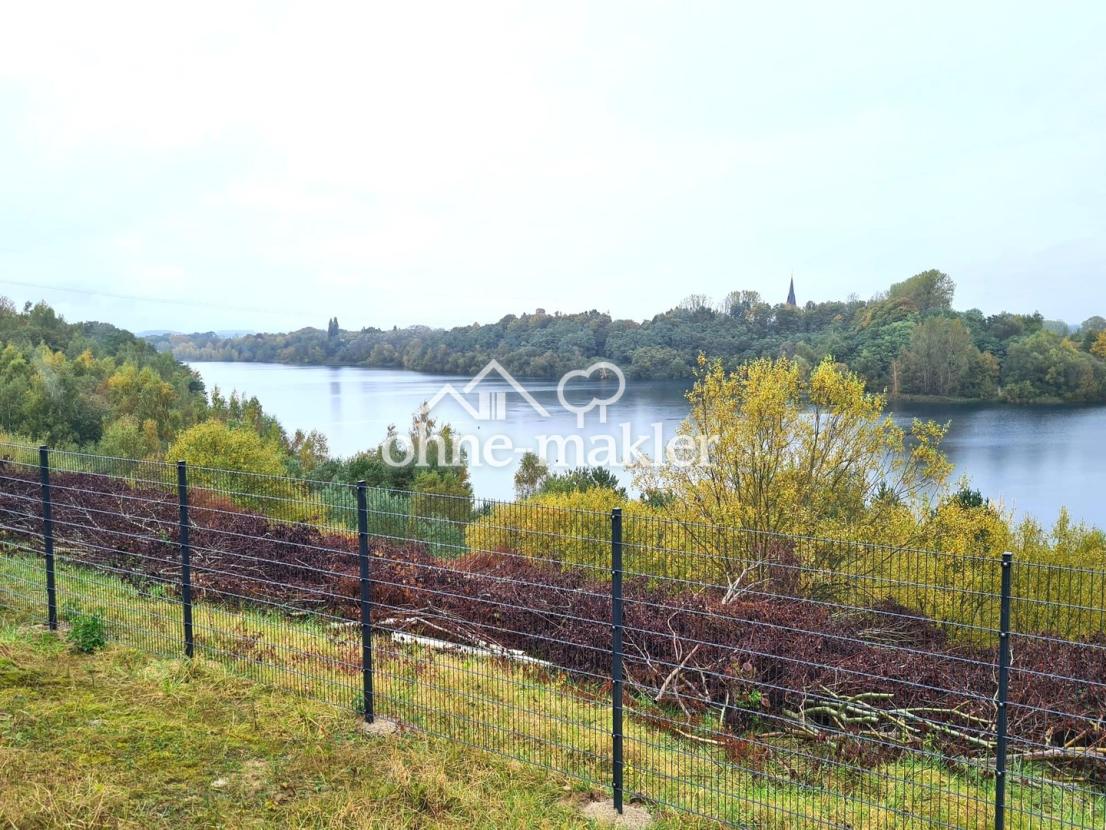 Blick vonTerrasse über den See