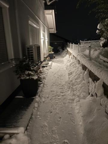 Winter