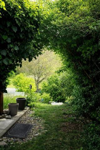 Garten