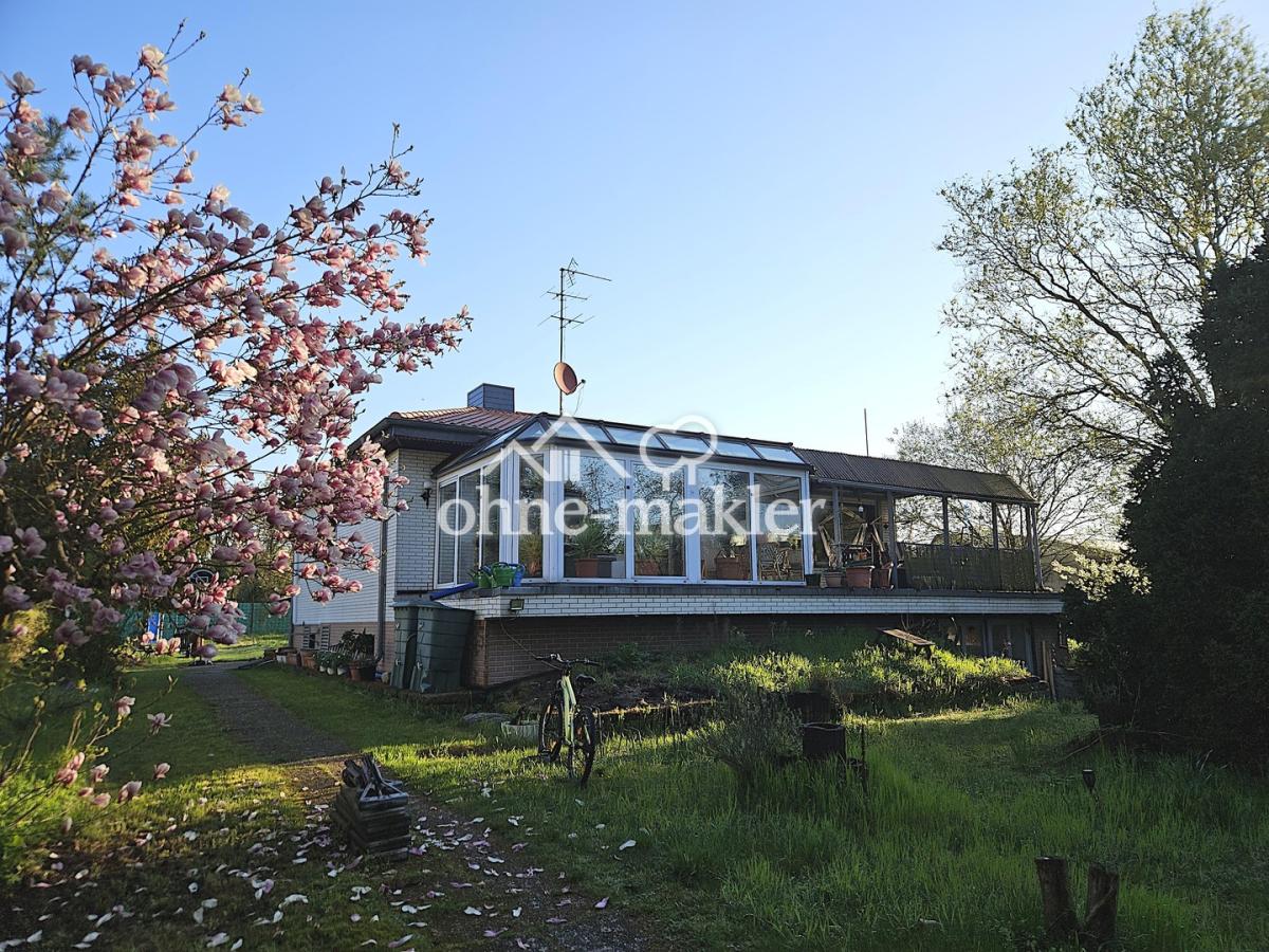 Haus hinten