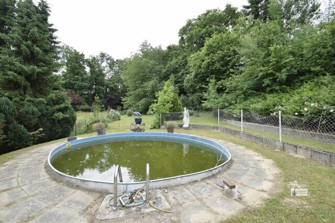 Swimmingpool im Garten