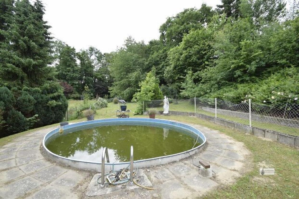Swimmingpool im Garten
