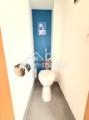 separates WC