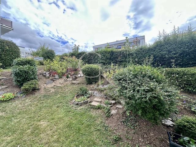 Blick auf kleinen Garten 